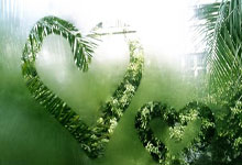 教你如何登录天涯论坛：简单教程