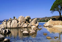 无意间发现了一个宝藏，就是那些天涯神贴pdf，翻开一看，就像打开了新世界的大门。